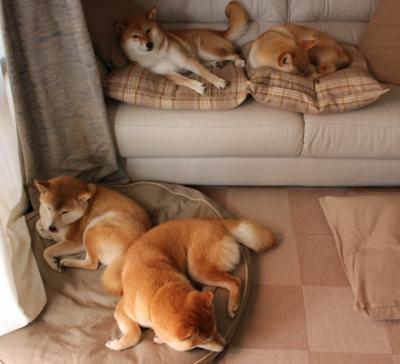 唯一性交锋，浓眉的节奏魔术让吉林队迷失