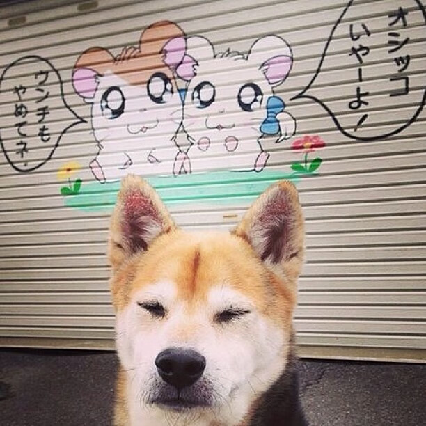 亚洲杯矛盾之争启示录，金玟哉固若金汤，卡塔尔锋利出鞘