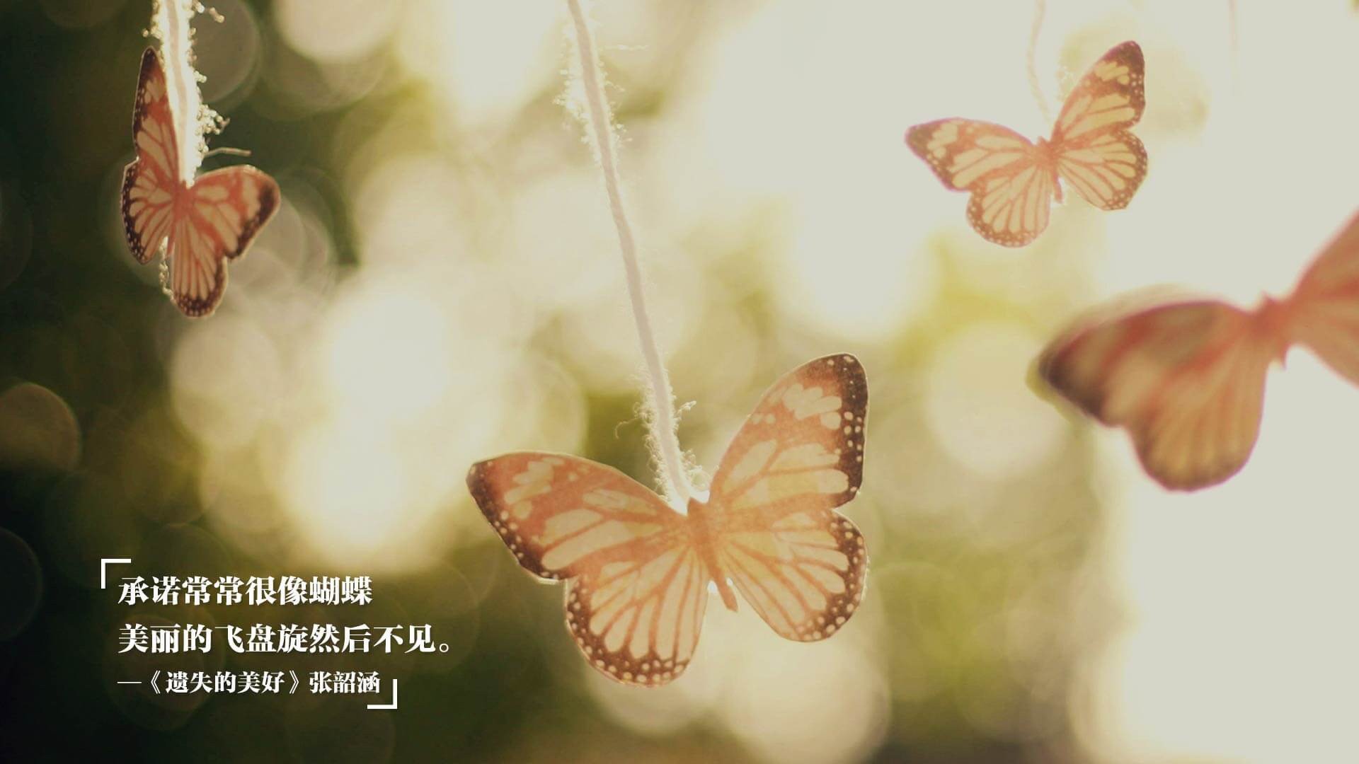 开云APP-沙漠风暴席卷太极虎，无名英雄迪亚斯导演冷夜奇迹