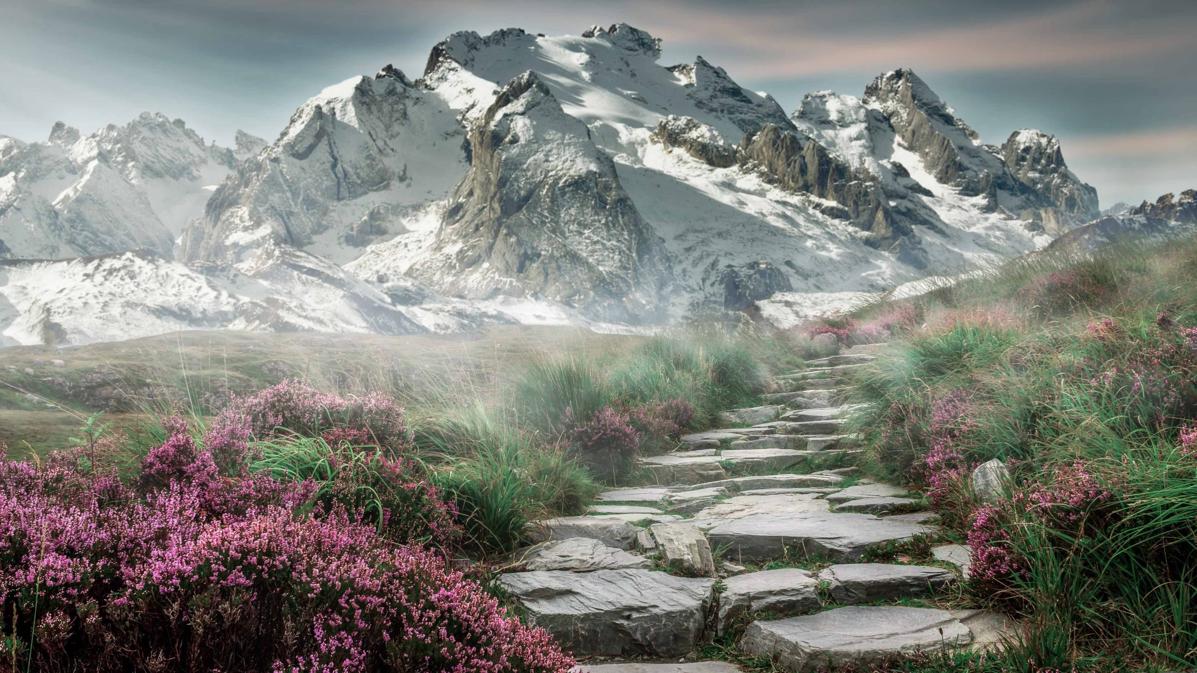 开云下载-命运压境之夜，阿坎吉是唯一的执棋者