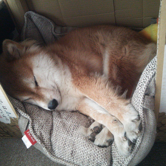 开云体育在线-今夜唯一的心脏，门迪，将摩纳哥与拉齐奥的滔天巨浪握于掌心