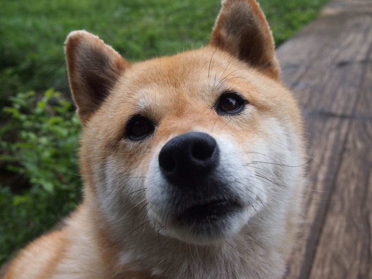 开云体育平台APP-足球世界的双重奏，巴西军团击溃AC米兰，金玟哉英超争冠舞台霸气接管