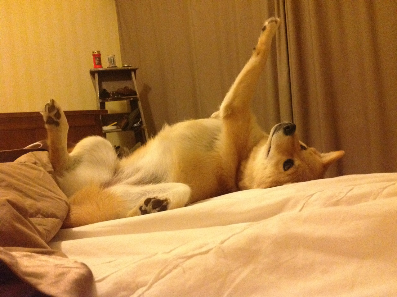 开云体育-当希腊怪兽席卷岭南，一场跨维度篮球风暴的启示