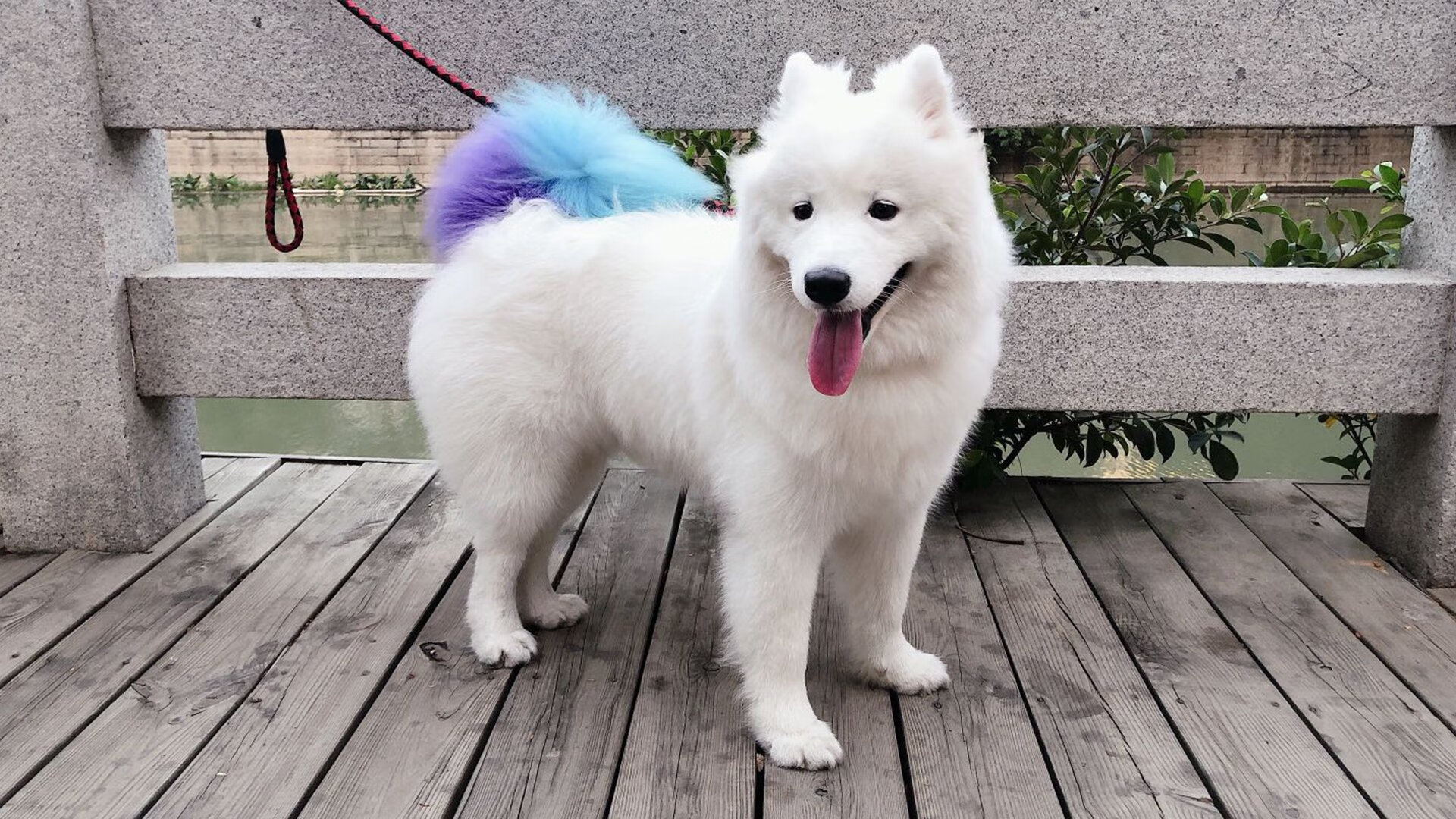 开云sport-冰与火之歌,巴雷拉的艺术控场与波斯铁骑的闪电复仇—绿茵博弈的两种终极答案