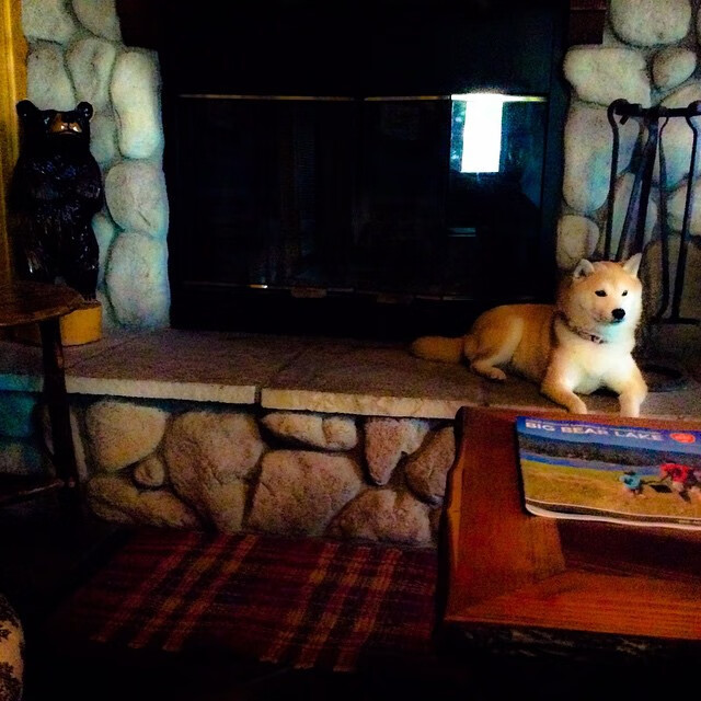 维尼修斯一剑封喉!摩洛哥淘汰赛绝境逆袭,力克澳大利亚昂首晋级