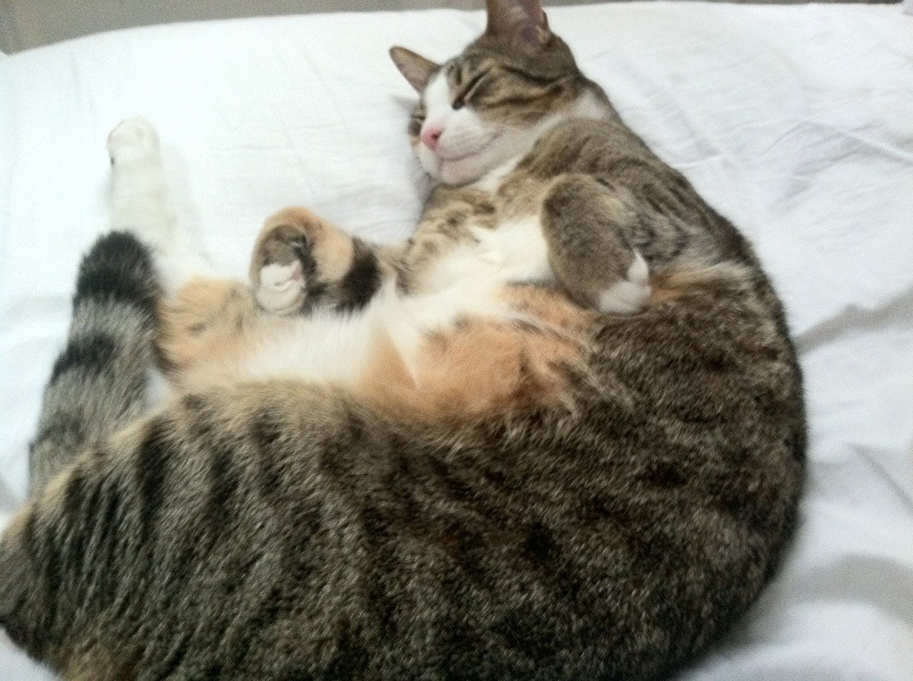 残局大师，本泽马于世界排名之夜撕开的璀璨裂痕