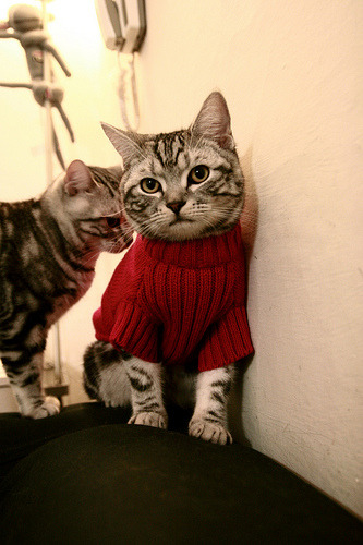 开云体育入口-决战马德里,奥斯梅恩新王诞生,无解表现吊打乌拉圭防线