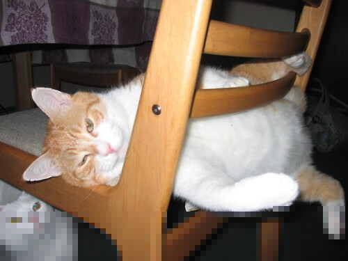 开云官网-绝境烽火,马赛窒息式连击终结巴萨王朝