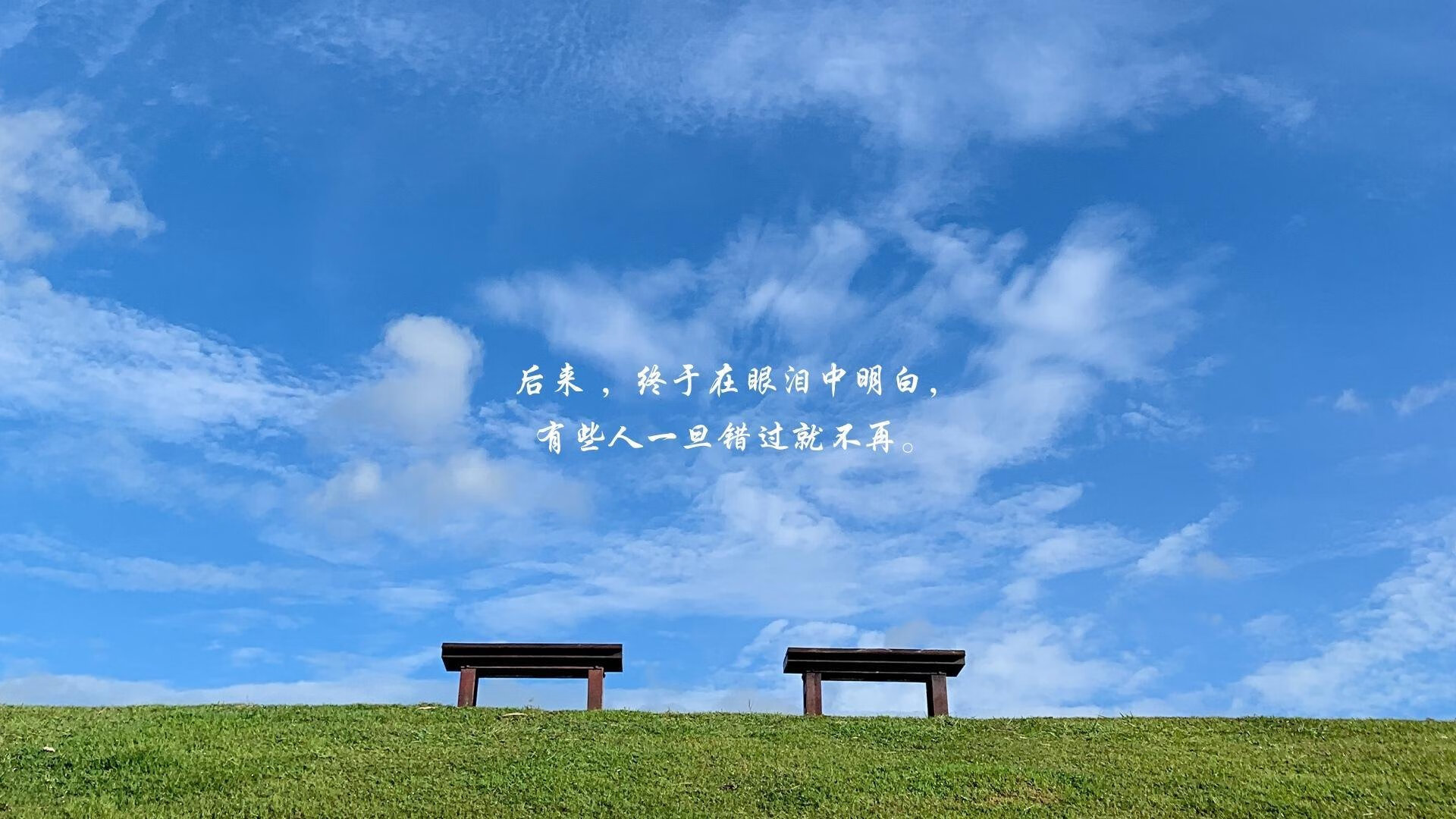 开云体育APP下载-沙漠之盾与北欧之矛，2026世界杯B组，哈兰德如何用战术唯一性击穿阿联酋防线