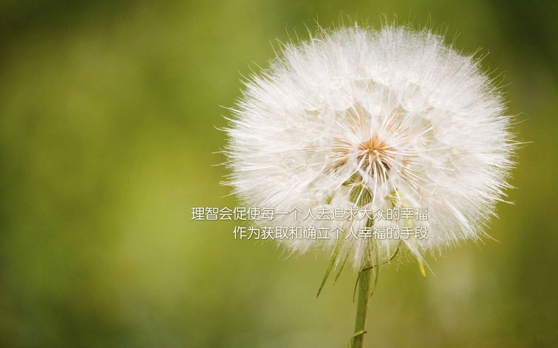 2026世界杯E组烽烟骤起,瑞士军刀出鞘碎智利,塔雷米独舞九天耀全场