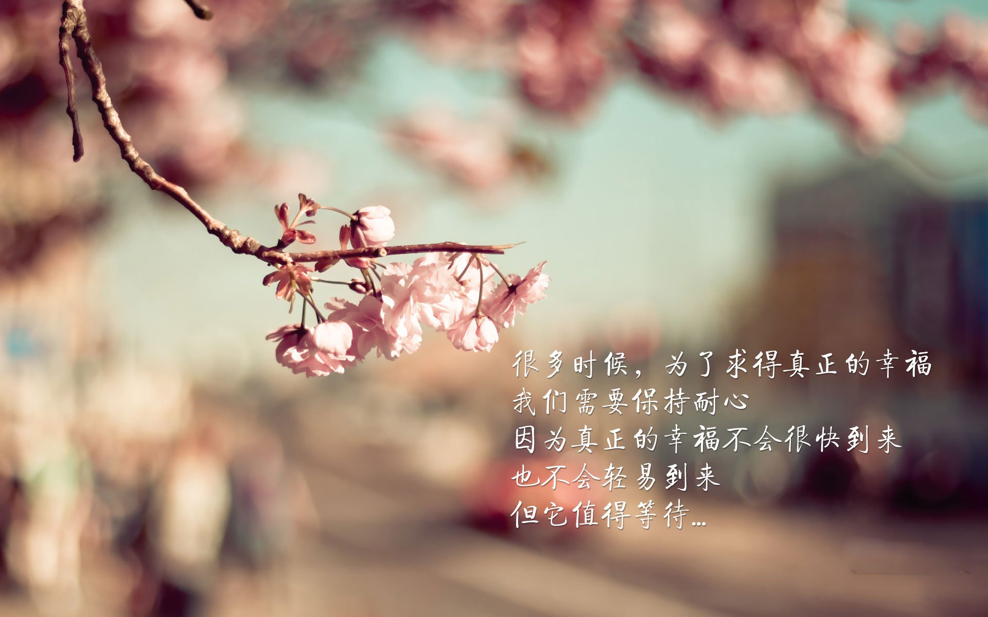 开云sport-温布利之夜，塔雷米的致命一击与波兰足球的黄金时刻—2026世界杯G组经典战役全记录
