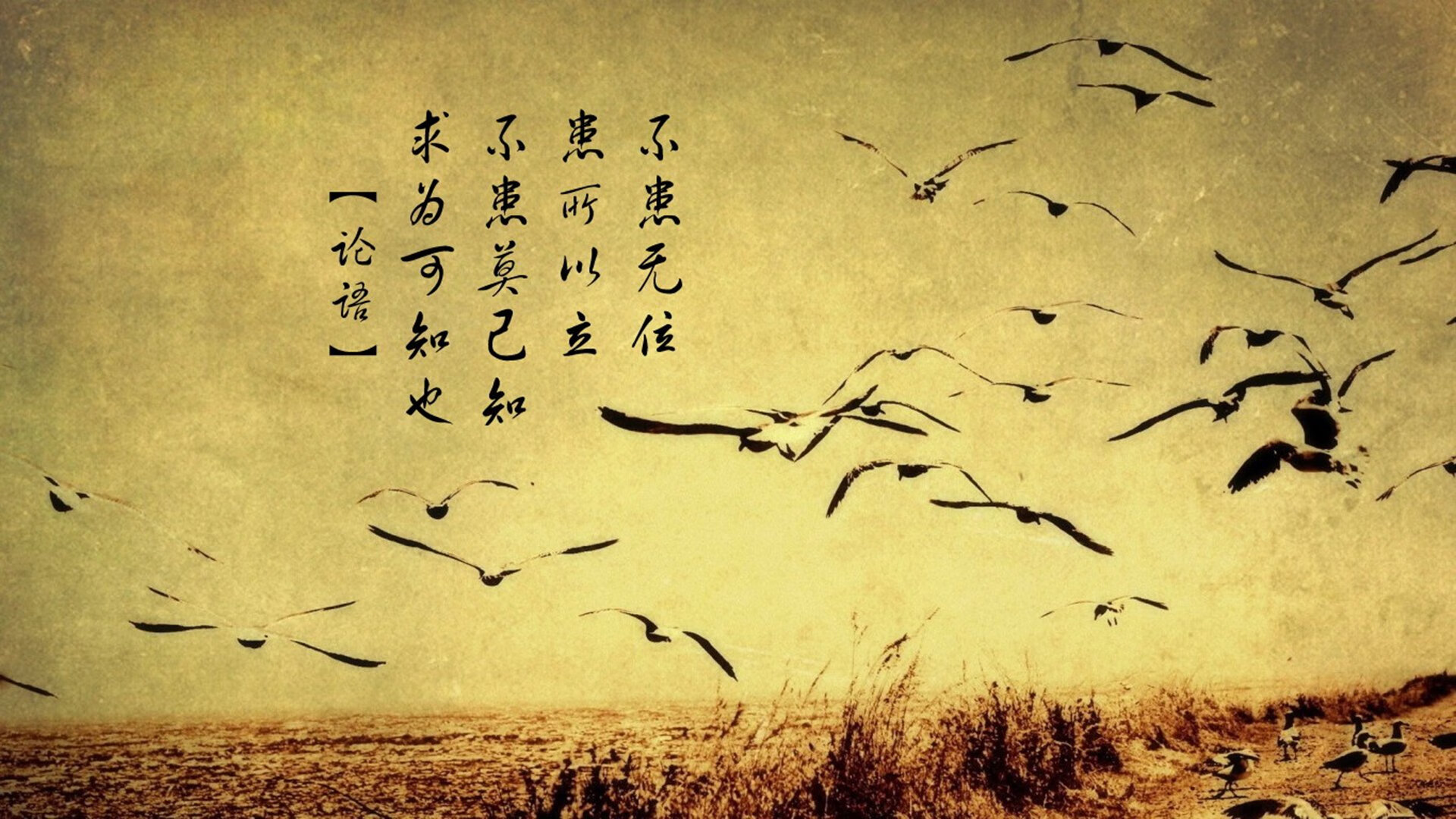 开云官网-绝杀与救赎,2026世界杯H组生死战,匈牙利力克韩国,苏亚雷斯演绎不老传说