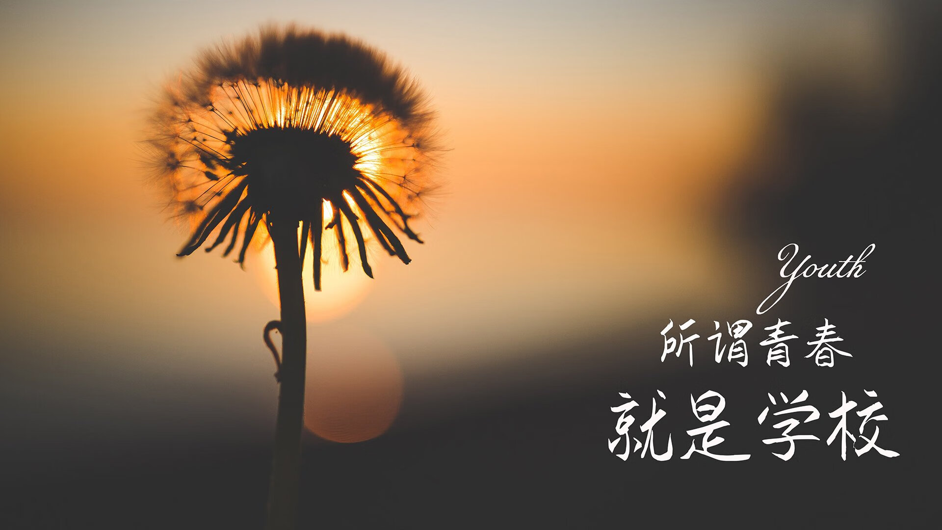 开云体育在线-沙漠风暴中的蓝武士,2026世界杯B组焦点战,日本以节奏之名横扫阿联酋,苏亚雷斯导演经典一役