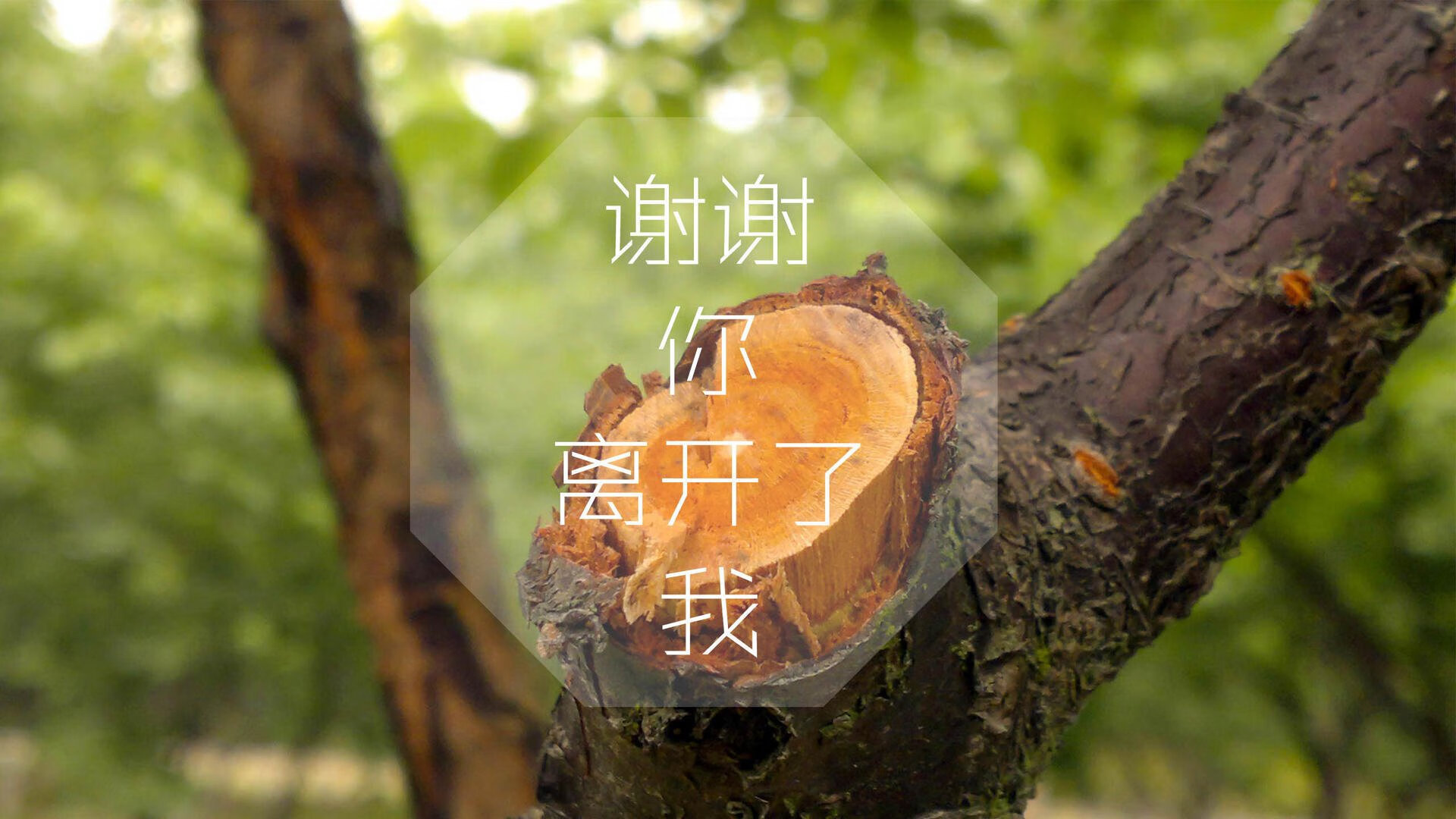 开云官网-绿茵孤勇,2026世界杯C组,沙特如何以京多安式犀利刺穿罗马尼亚防线