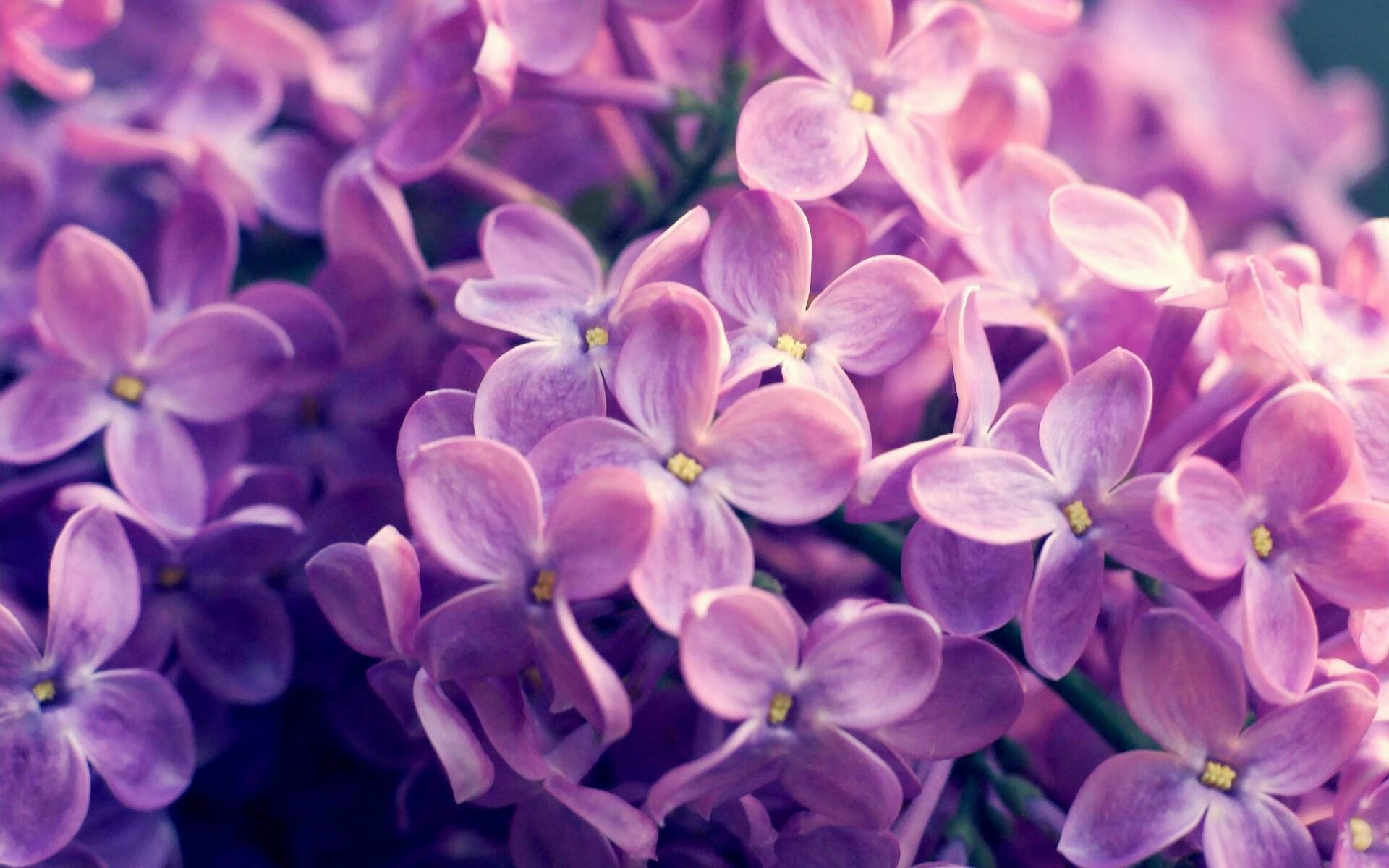 这是一篇基于您提供的唯一性关键词(2026世界杯A组、尼日利亚力克厄瓜多尔、库尔图瓦表现抢眼)创作的深度分析文章